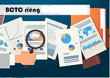 Báo cáo tài chính riêng 31.12.2021